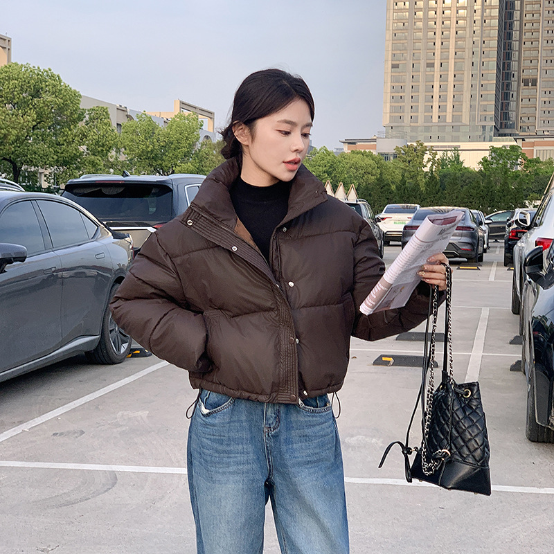 Winter Women Clothes Cropped J - đánh giá và giá Women'S Fashion Quilted Jacket