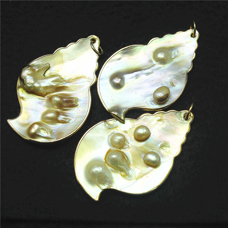 3PCS Nature Shell Pendants Mot - đánh giá và giá Women Fashion Nz